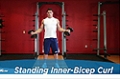 Exercise Guides: Standing Inner-Biceps Curl, Male/Short Clip