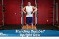 Exercise Guides: Standing Dumbbell Upright Row, Male/Short C