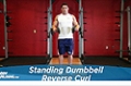 Exercise Guides: Standing Dumbbell Reverse Curl, Male/Short