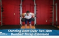 Exercise Guides: Standing Bent-Over Two-Arm Dumbbell Triceps