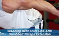 Exercise Guides: Standing Bent-Over One-Arm Dumbbell Triceps