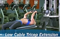 Exercise Guides:Low Cable Triceps Extension, Male/Short Clip