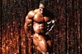 2008 Iron Man Pro: Men's Finals Posing Routines - Gastavo Badell