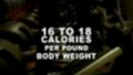 Female 20-39 Muscle Building Nutrition