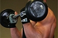 EZ-Bar Curl