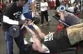 Getting Cut With Glass! Episode #5: Safe Upper Arms Training