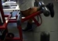 Universal Nutrition Training Videos: Alex Fedorov’s Leg Training&sbquo;  Episode #5: Standing Leg Curls