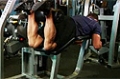 Exercise Guides: Lying Leg Curls, Male/Long Clip