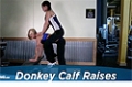 Donkey Calf Raises