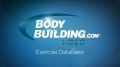 Exercise Guides: Squats - With Bands, Female/Long Clip