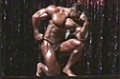 2009 Iron Man Pro: Top 10 Posing Routines - Ahmad Haidar