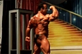2008 Europa Super Show: Men's 202 & Under Finals Part 1