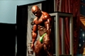 2008 Europa Super Show: Men's Open Finals Part 1