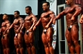 2008 Europa Super Show: Men's Open Prejudging