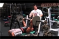 The Fit Show Season One, Episode #3: Milos Sarcev - Chest Training