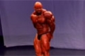 2007 IFBB New York Men's Pro: Top 10 Posing Routines - Branch Warren