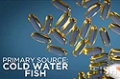 Ingredient Guides: Fish Oil