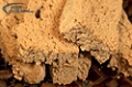 Jamie Eason's Orange Almond Biscotti Cookies