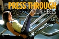 Video Article:  Amanda Latona's Pro Bikini Glute Workout