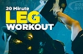 Video Article:  20 Minute Legs Workout