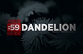 Site Guides: Dandelion