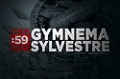 Site Guides: Gymnema Sylvestre
