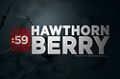 Site Guides: Hawthorn Berry