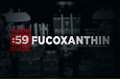 Site Guides: Fucoxanthin