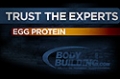 Expert Guides: Egg Protein