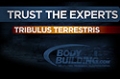 Expert Guides: Tribulus